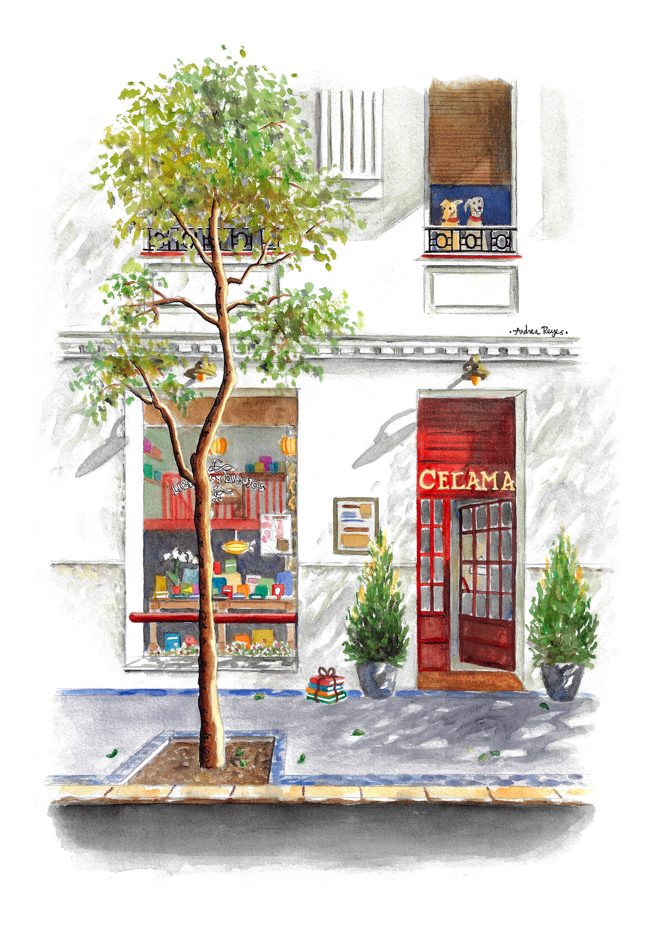 Lámina librería Celama A5