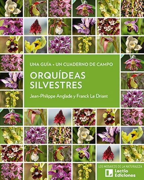 Orquídeas silvestres