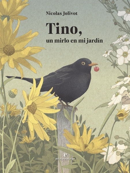 Tino, un mirlo en mi jardínI