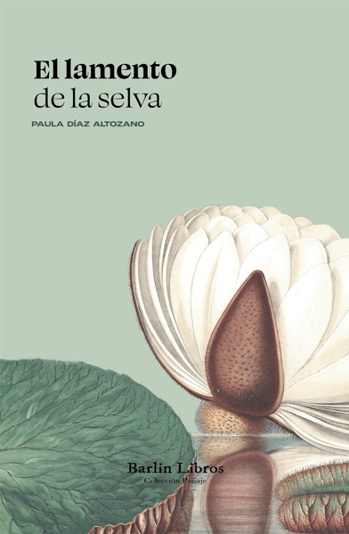 El lamento de la selva 'Un ensayo desde la ciudad gris al río de las Amazonas'