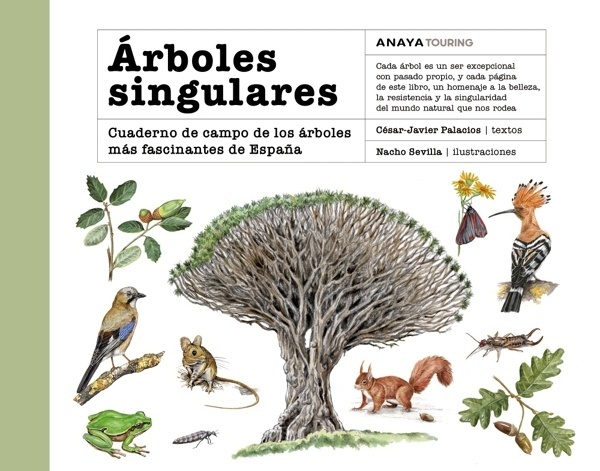 Árboles singulares 'Cuaderno de campo de los árboles más fascinantes de España'