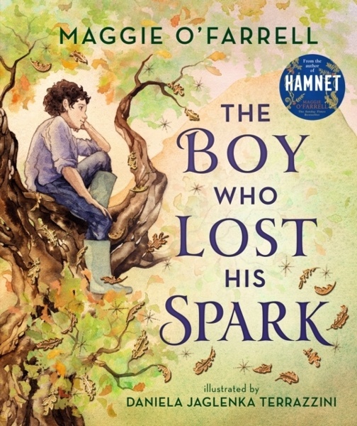 The boy who lost his spark