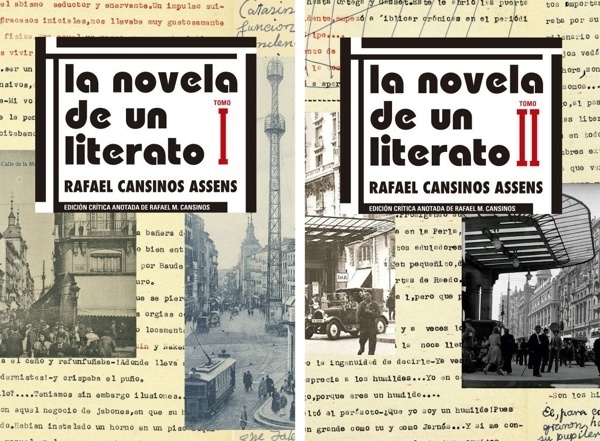 La novela de un literato (2 tomos)