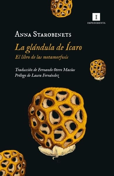 La glándula de Ícaro 'EL LIBRO DE LAS METAMORFOSIS'