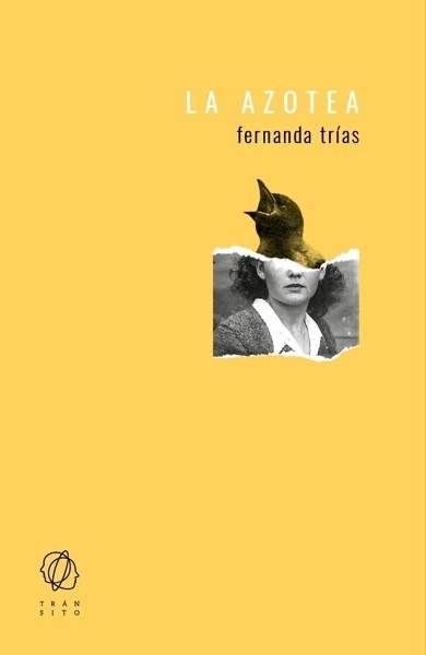 La azotea 'TRANSITO. MACHADO'