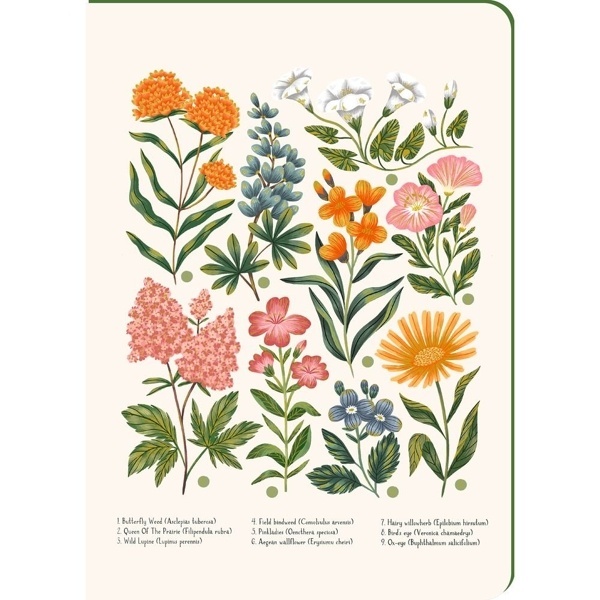 Cuaderno A5 botánica (cantos dorados) (192 hojas)