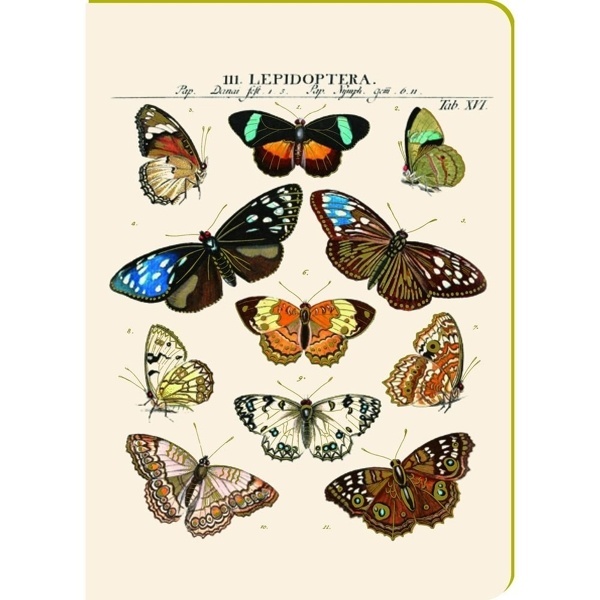 Cuaderno A5 mariposas (cantos dorados) (192 hojas)